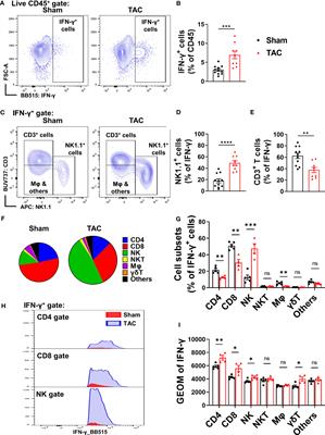 Inhibition of NK1.1 signaling attenuates pressure overload-induced heart failure, and consequent pulmonary inflammation and remodeling